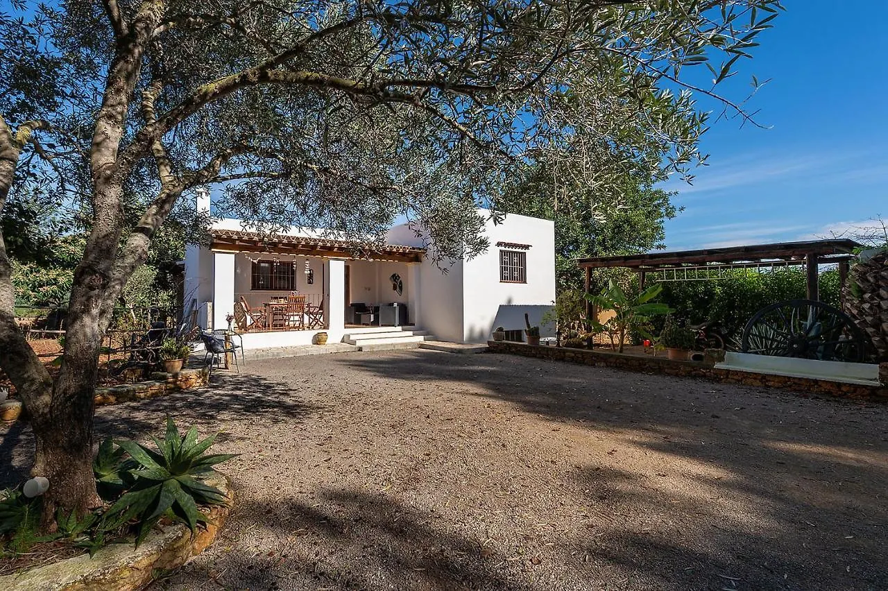 Villa Can Turrent Sant Carles de Peralta